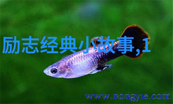 穆尼尔纳素名言
