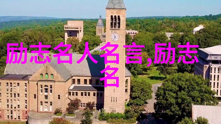 关于追求理想的名言