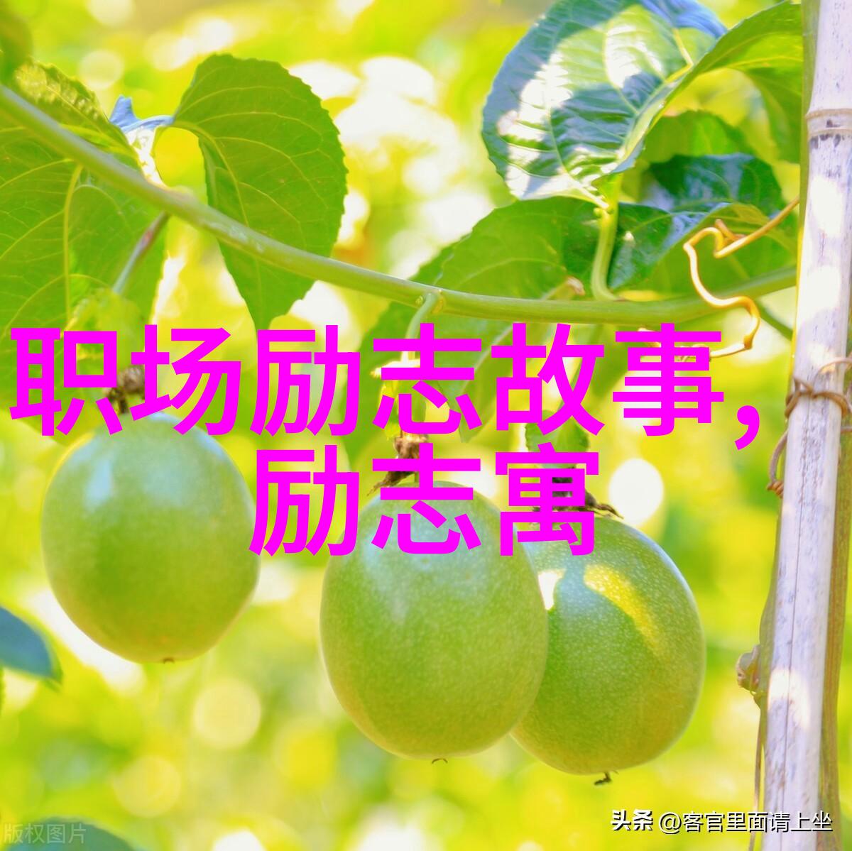 30岁还一事无成的你到底在干些什么