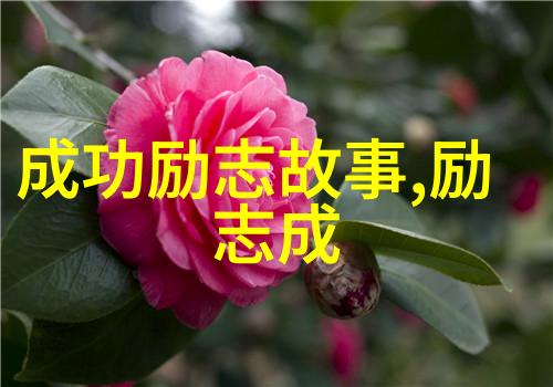 路自己走过才叫路