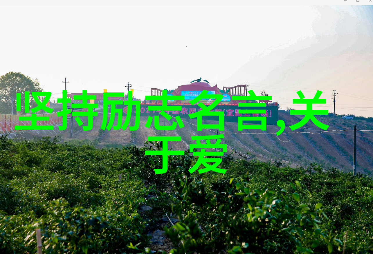 成功名言五
