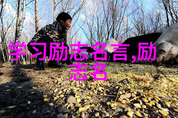 励志名言大全