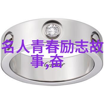 雷军看五年想三年认真做好一两年