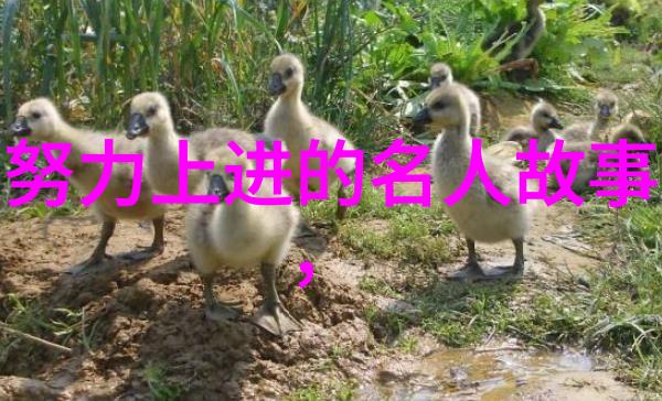 李海洋23岁特困生摆地摊起家成百万富豪