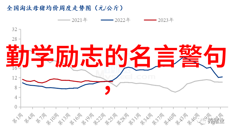 有杀气很霸气的励志语句
