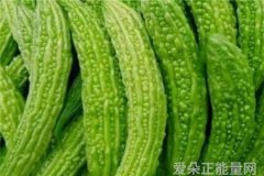 成功励志网一起走向成功的道路