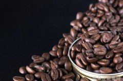 《黑道教父的逃妻：禁忌之恋的惊天秘密》