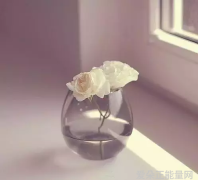 海贼王经典语录-追忆那些鼓舞人心的海盗名言