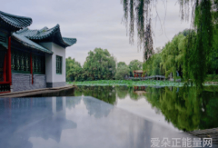 《黑道总裁的绝世宠儿：夜蔷薇的缠绵》