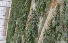 人生的输赢一场赌