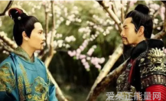 激情燃烧学习之旅的火花与哲理