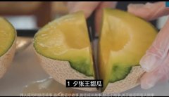 伟大作家的人生逆袭从贫穷少年到文学巨匠的奇