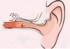 励志明星故事从平凡到璀璨的人生之旅