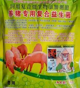 中国年轻女性名人她们的故事与成就
