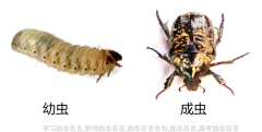 以梦为马不负韶华书写辉煌人生