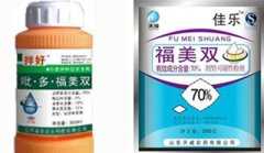 名人励志小故事他们的成功之路